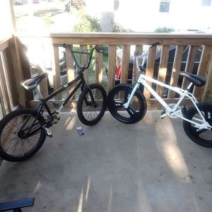 Meet your Posher, Tyson